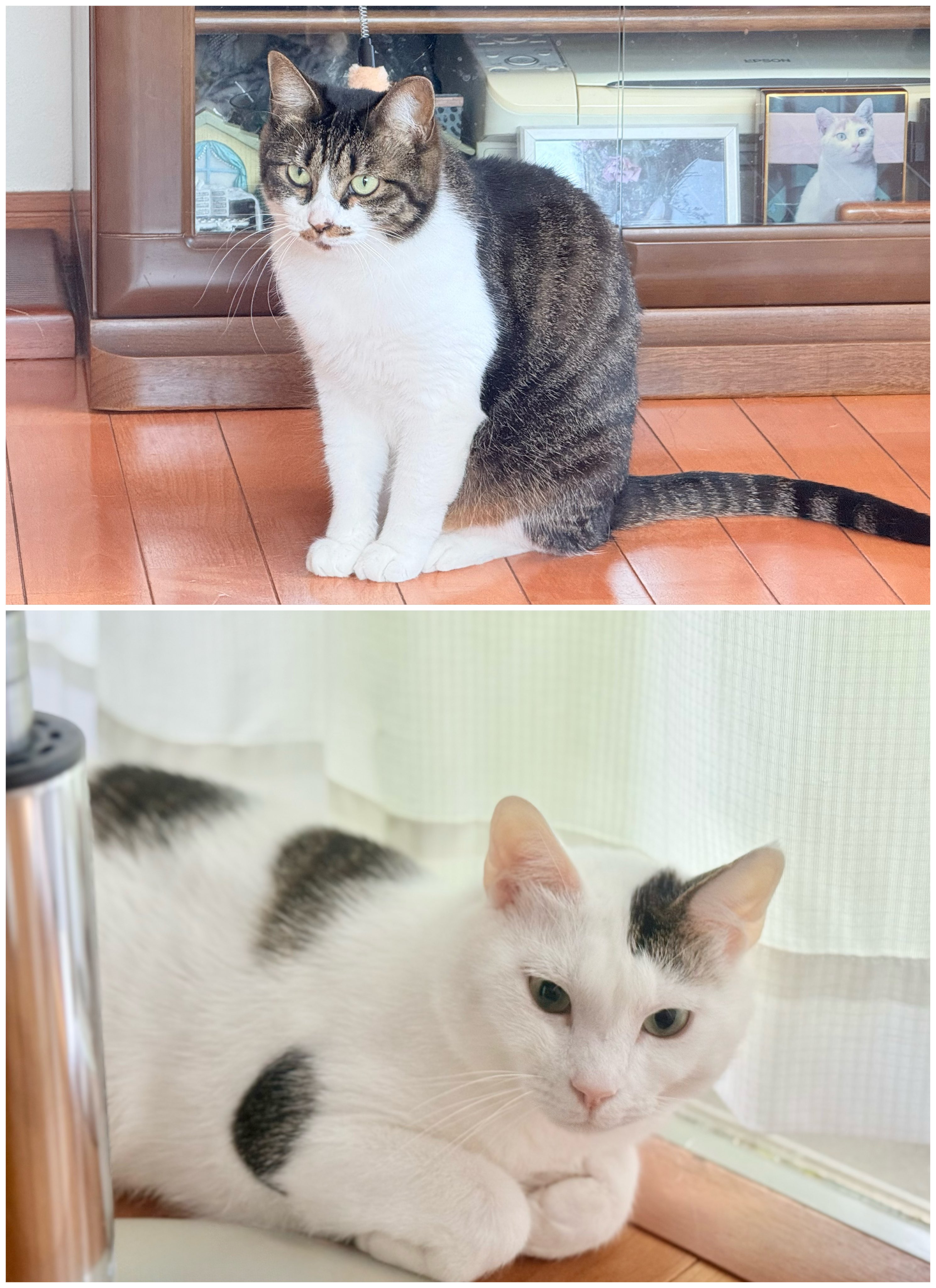 さくらもち様お取り置き9月10日まで じゅに on X: 