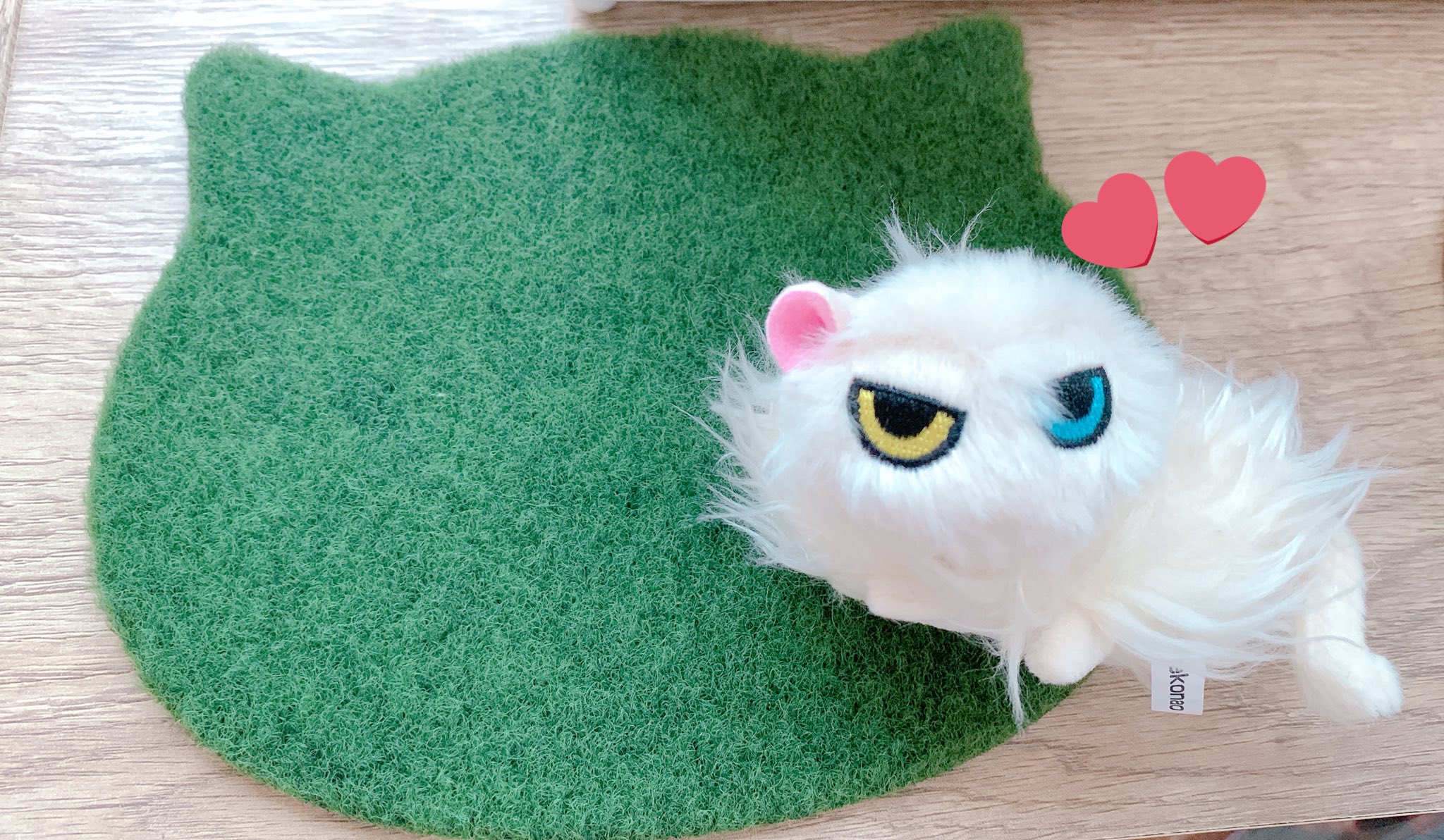 Ruru🐰♥️🐰🩵🦊❤️ on X: 