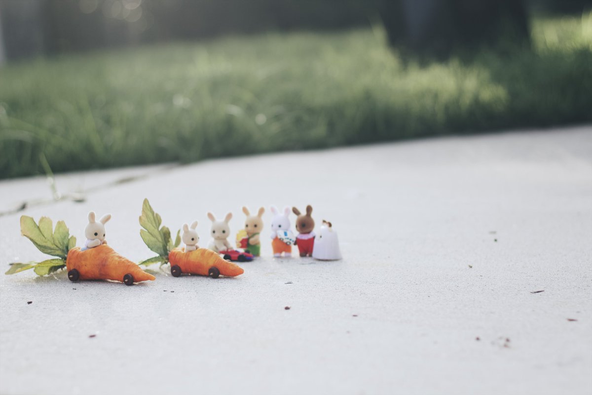 carrot car race🥕🥕
