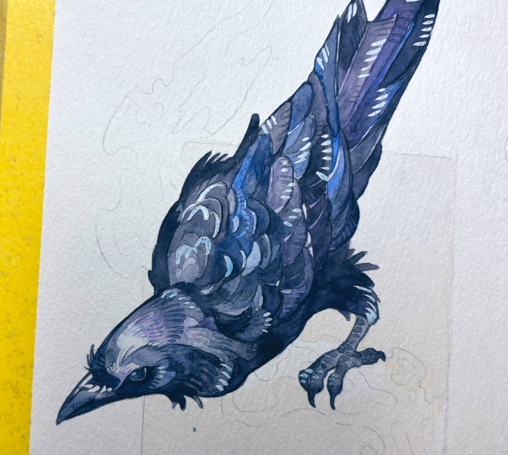 #これでフォロワーさん増えました
このカラス