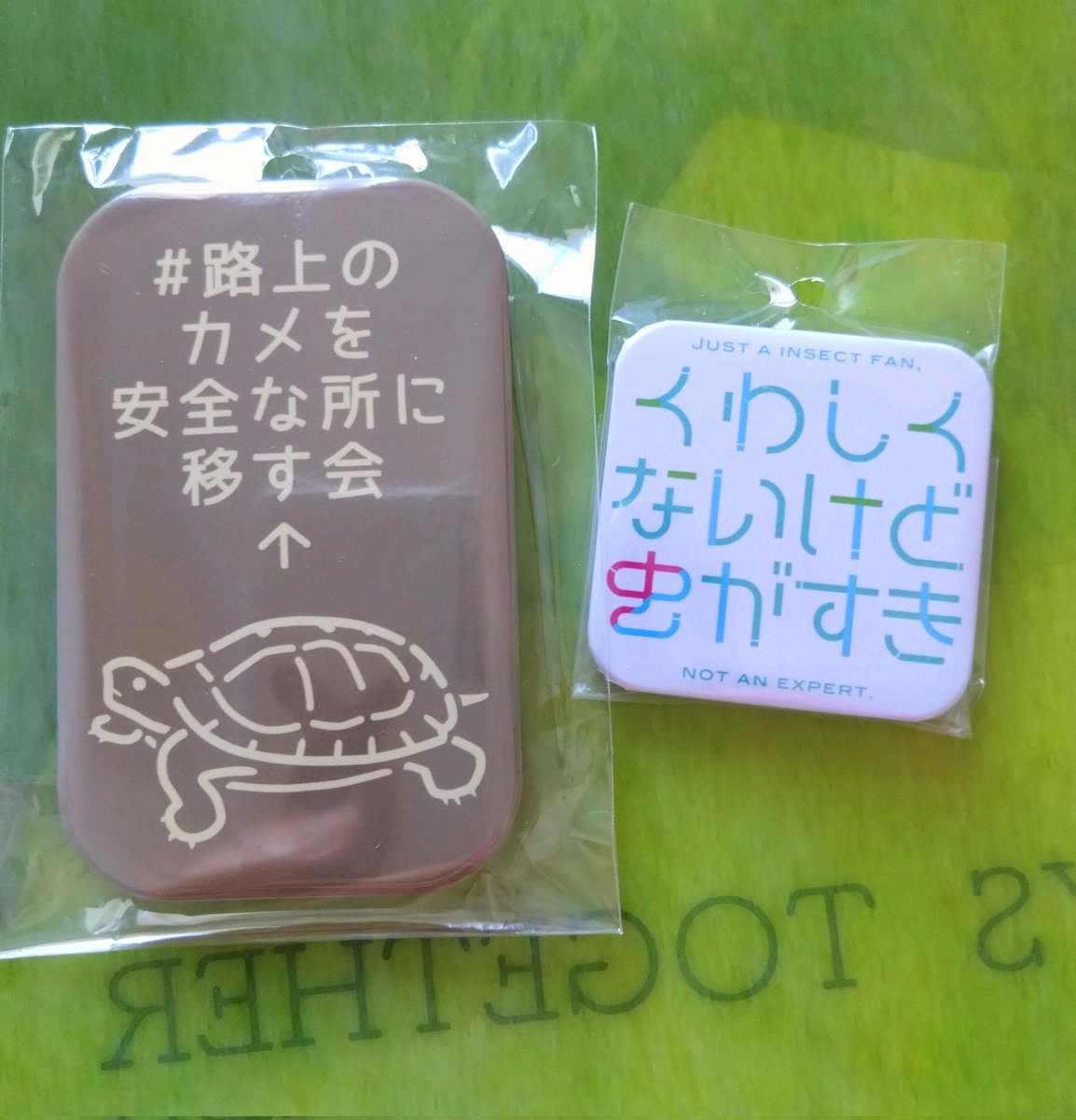 testudo216's tweet image. #博物ふぇす
日本野虫の会@panchichi3 毎回バッジが楽しみなんだけど、この「くわしくないけど好き」はぜったい売り切れる前に買わなくちゃ!とブースに急いだ
私、亀キ◯ガイなんて言われるけど自分の飼ってる亀以外は全然詳しくないし。
知識のあることは素晴らしいけど、まずは好きであれ