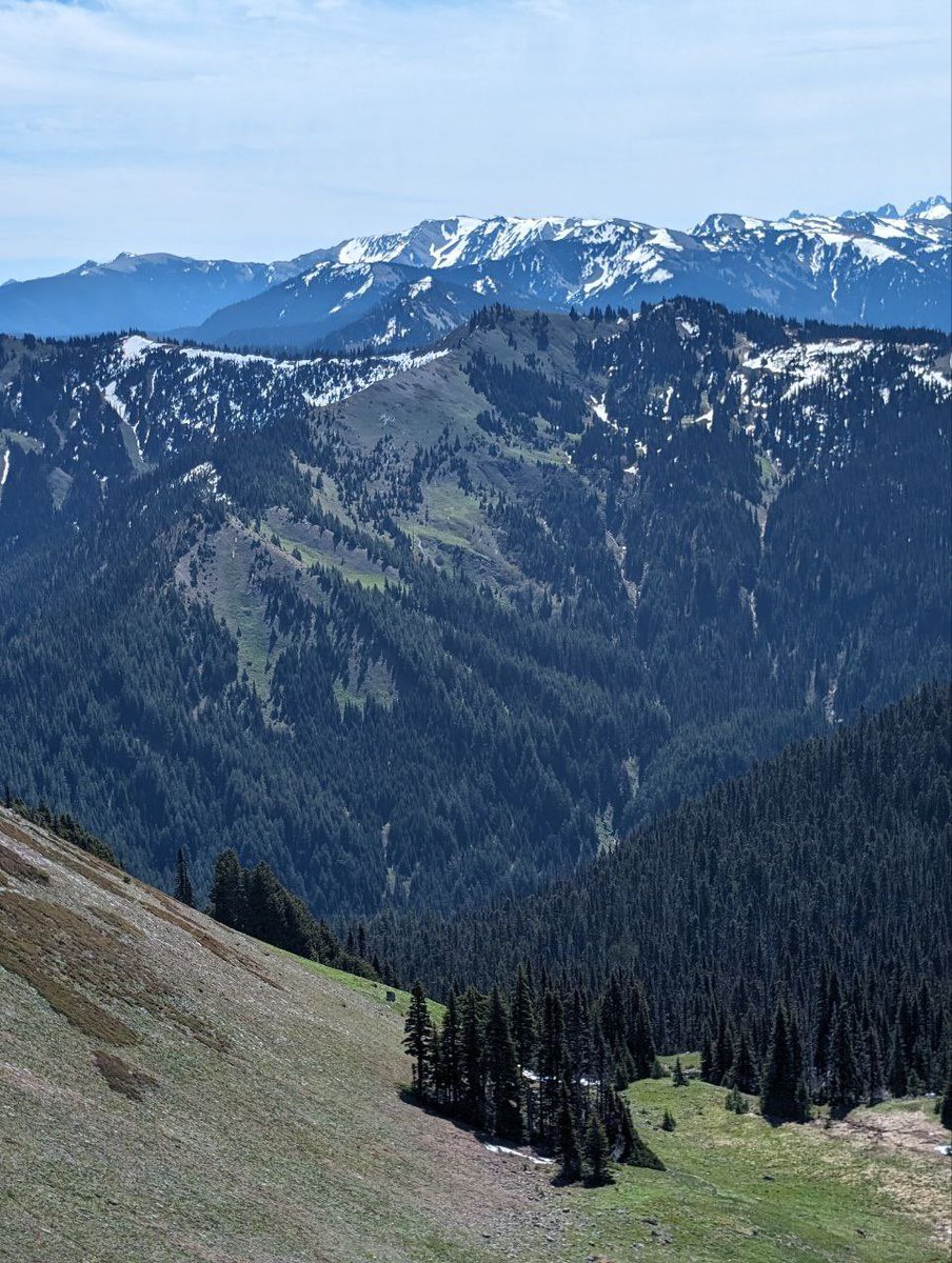 bluehuskybutt's tweet image. I love living on the West coast 💕
Still so much to see