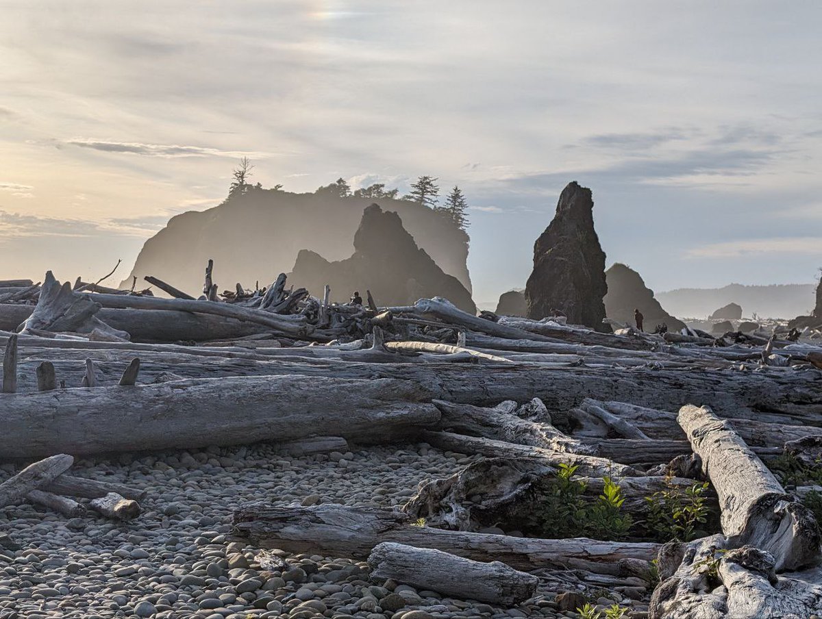 bluehuskybutt's tweet image. I love living on the West coast 💕
Still so much to see