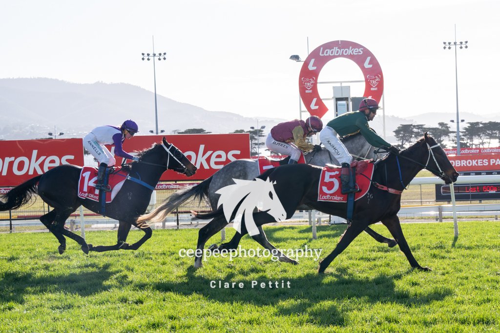 Before yesterday Jessie Bazan had never trained a treble before. Then she trained 4 winners at Elwick for <a href="/TasBloodstock/">Tasmanian Bloodstock</a> - Rawabi, Jehbenti, Silver Dagger and Snow Eagle. #tasracing #TF