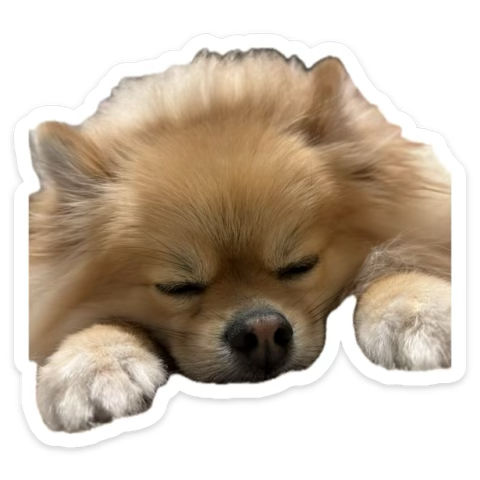 sh432679sh's tweet photo. 久しぶりにヒルナンデス見たけど
東京駅よく使うから、今日の放送助かるー！

ヒルナンプレゼント　も当たるといいな
#ヒルナンプレゼント https://t.co/izoKd0CMuv
