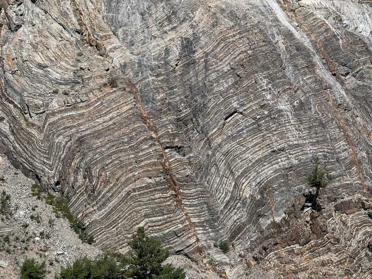 hdevalence's tweet image. 1960s geology maps are incredible. as are the rocks