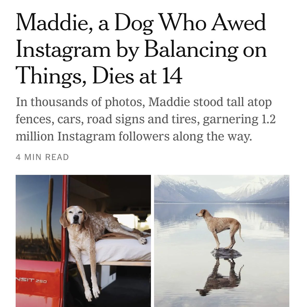 Jeopardamy's tweet image. Being famous is so weird. Like, in a certain sense, this is an obituary for one of my professional peers