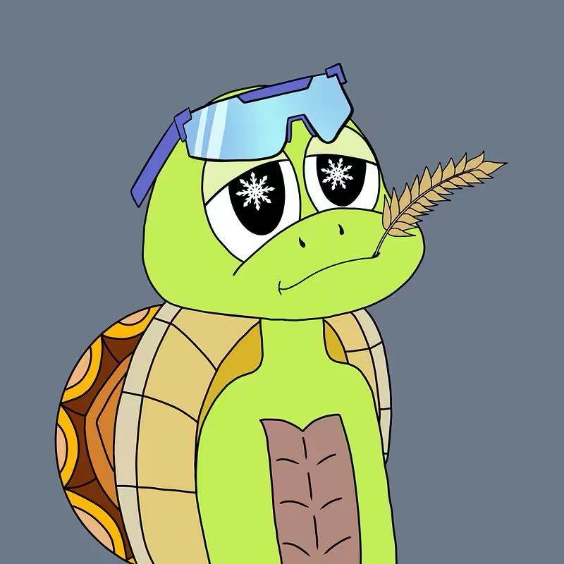 Crypt0_jr's tweet photo. Just minted 3 @aTurtleTakeover 😎

Rafael from ninja Turtles was my dude, and I totally am getting his vibe from my second mint 🔥🥷🐢

Love supporting the fam @GlitchedDream and his Mrs. 🫶 https://t.co/xc3TFjQfMa
