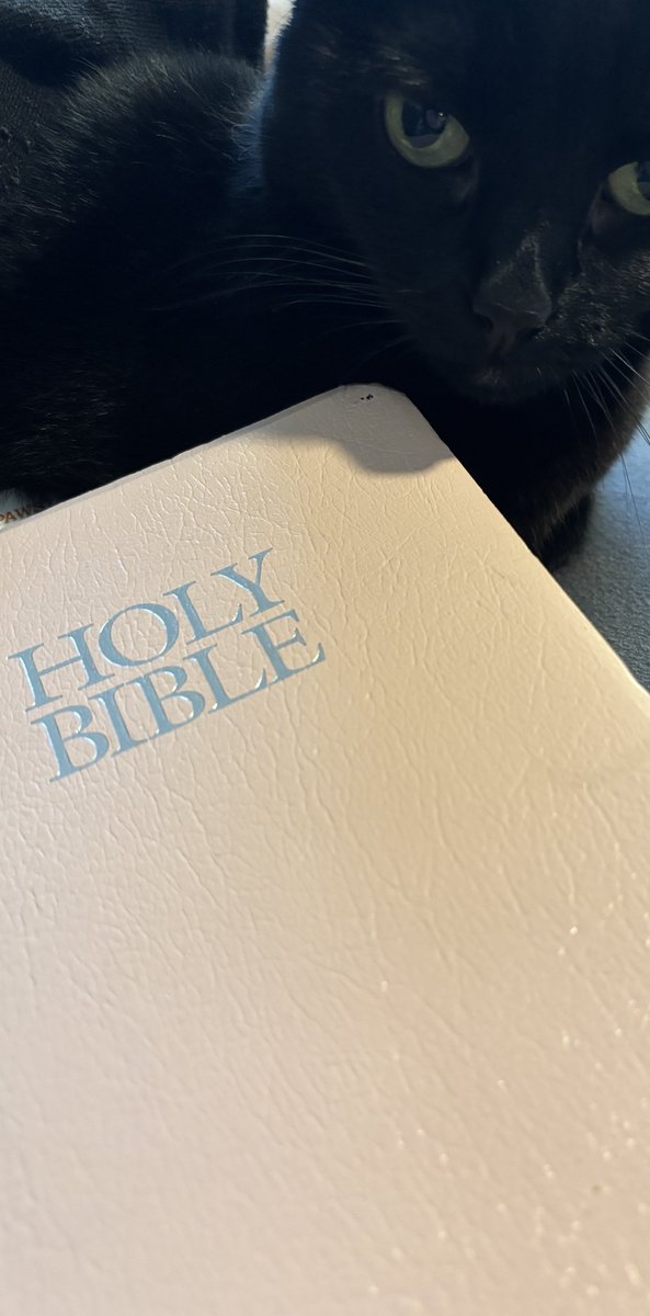 hellokittymaxi's tweet photo. Apparently virtual church isn’t the same … Literally called out for skipping church 🙄
Even Luna is judging me 

My bible is pink. https://t.co/bpYpO6ZvVN