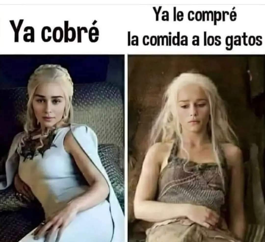 MeowWorkshop's tweet image. Yo hace rato con la arena 🥲