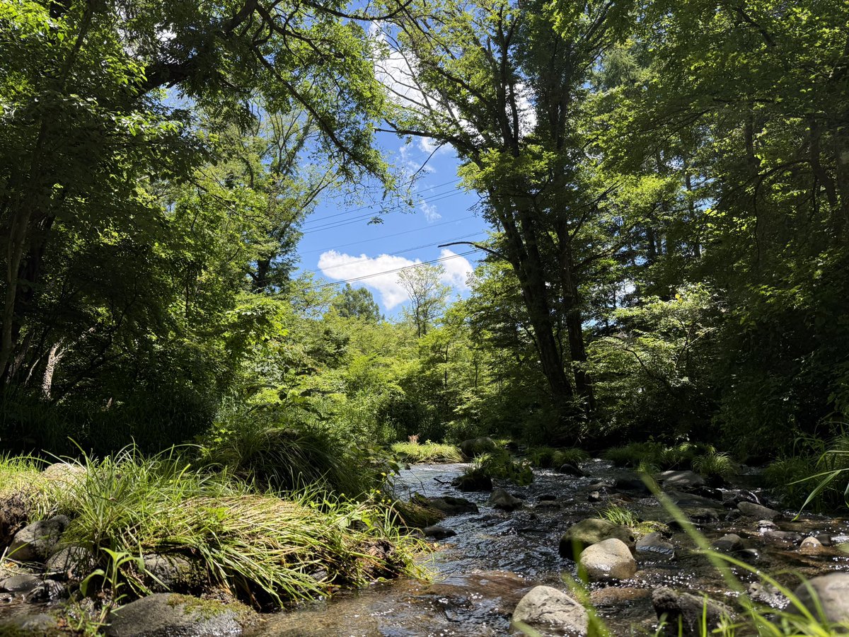nirunno's tweet image. 友達と軽井沢⛰️
涼し過ぎて最高だった👍