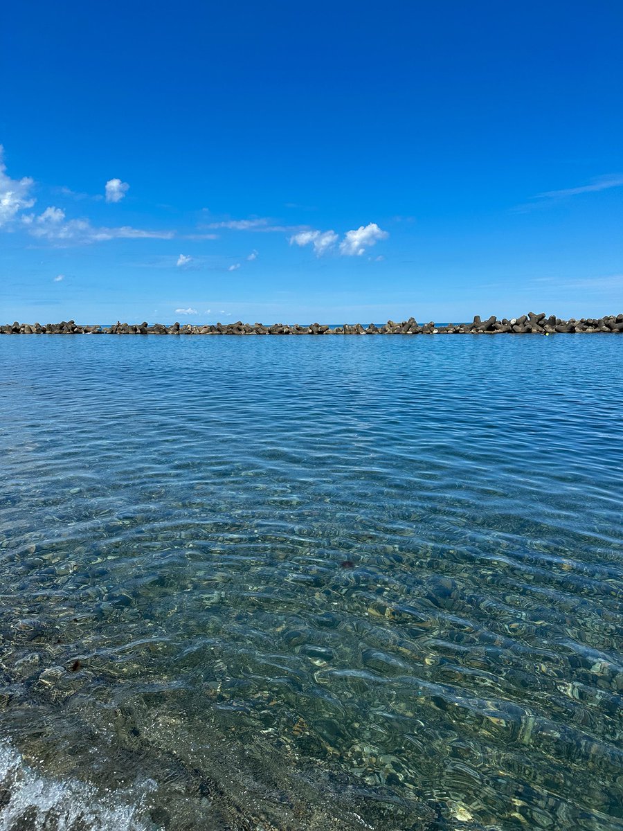FAL_ReCODE's tweet image. 海の日なので子供と新潟の海に来てます🌊
#海の日
