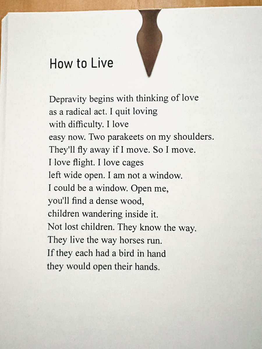 The way this <a href="/toddedillard/">todd dillard</a> poem lives in my brain every goddamn day.