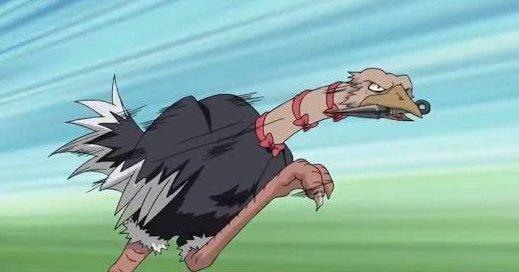 DailyAllNaruto's tweet image. Condor, the ICONIC Ninja Ostrich.
He was the leader of the Four Ninja Animal Warriors and one of Naruto's rivals.