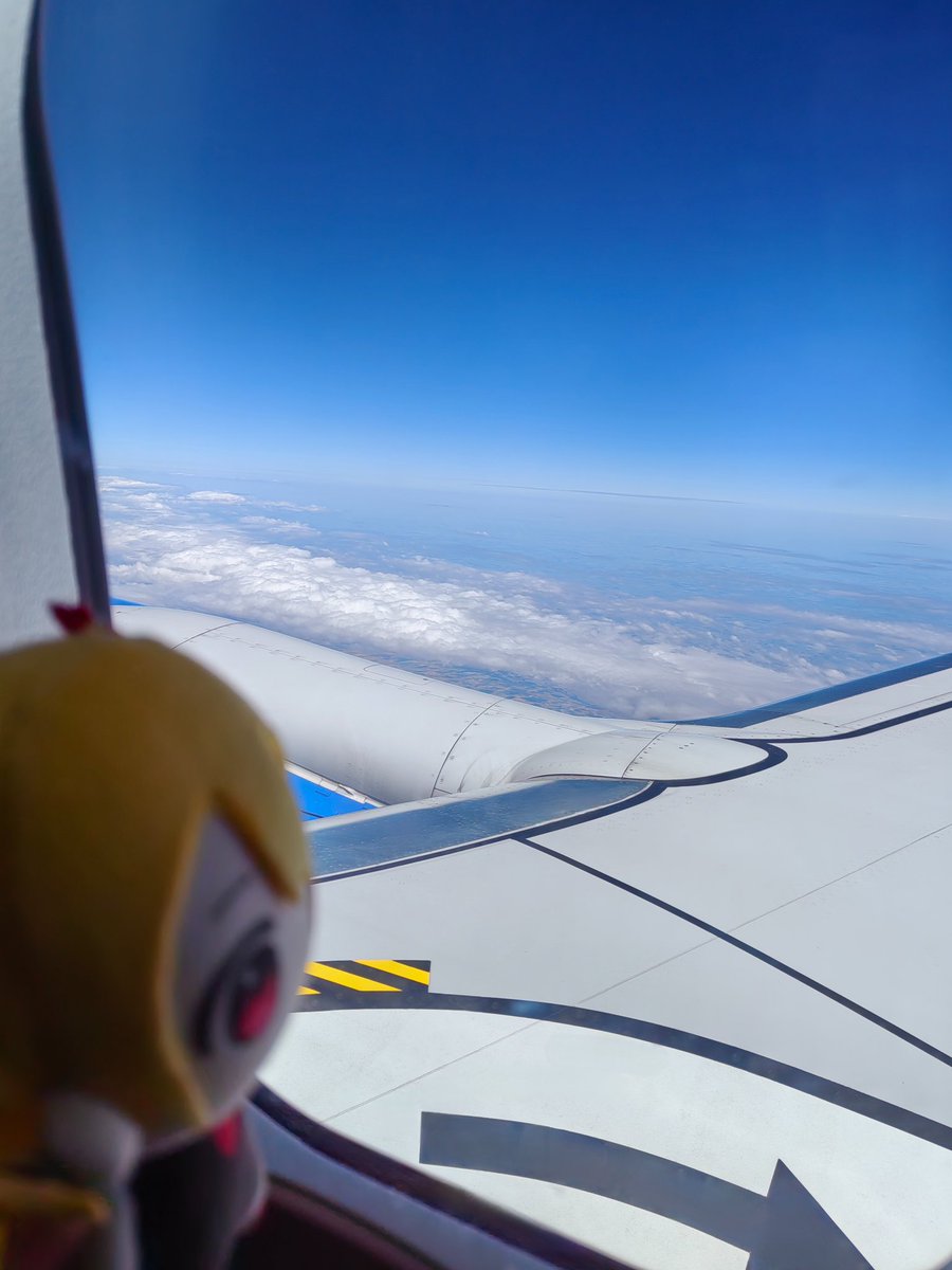 Rain_flowhen tweet media