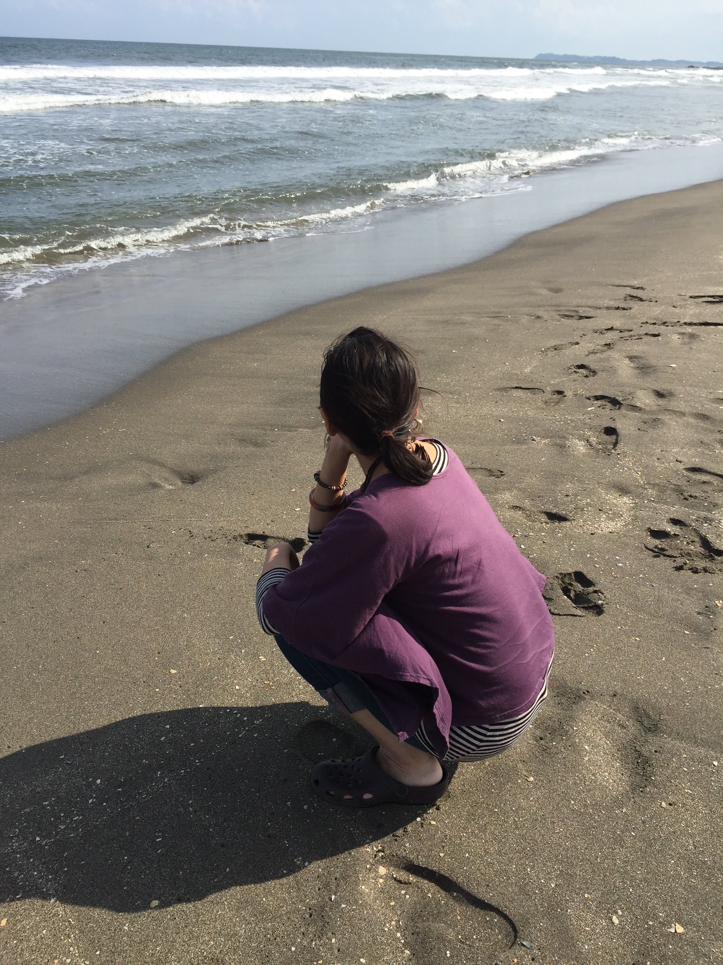 shiho ohashi（猫・風景画家） on X: 