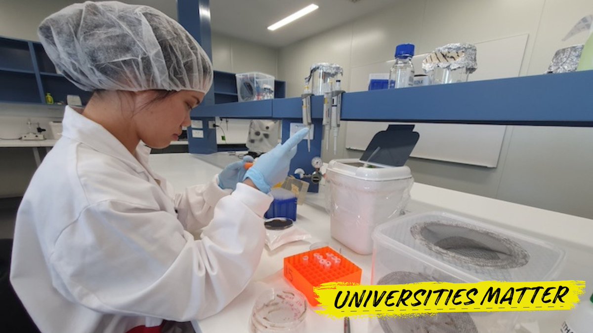 uniaus's tweet image. Researchers at @Macquarie_Uni have discovered that compounds derived from the cannabis plant can effectively treat fungal infections such as athlete's foot and the serious disease Cryptococcosis. This finding raises hopes for the development of new topical treatments.
Fungal…