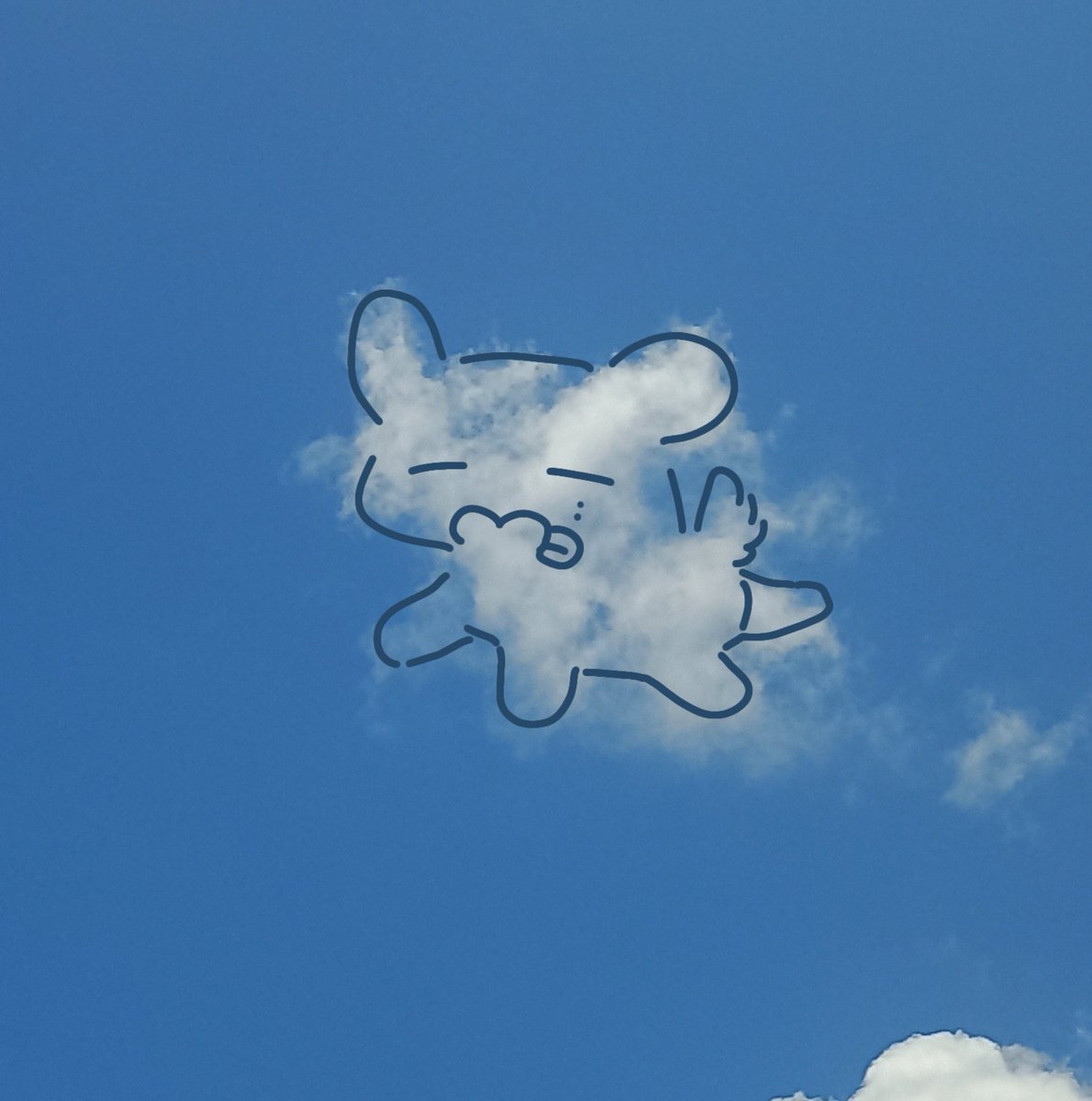 jiihoon_17's tweet image. 부산에 강아 구름 떴어