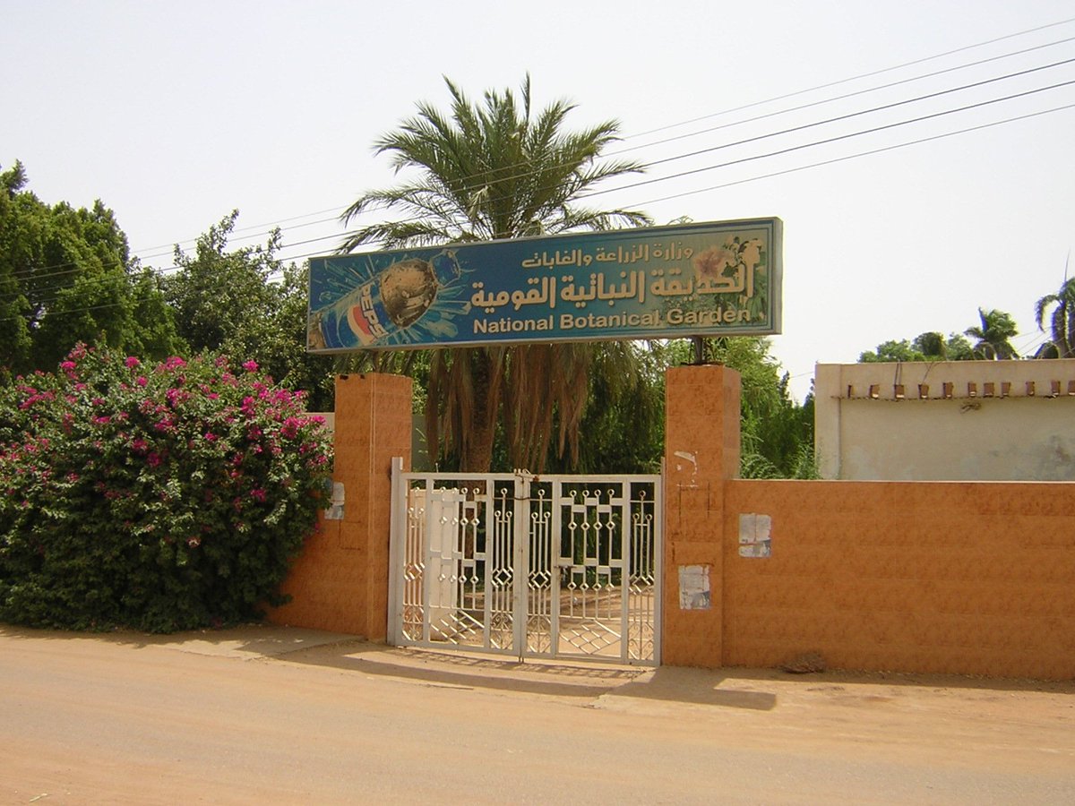 SudaneseCulture's tweet image. Sudan National Botanical Garden, Khartoum:
Its One of the Oldest Botanical Gardens in Africa, Established in 1954, Is Located in Khartoum in the Mogran Residential Area
The Garden Contains a Collection of Living Plants in Addition to a Herbarium
#SudaneseCulture #ثقافة_سودانية