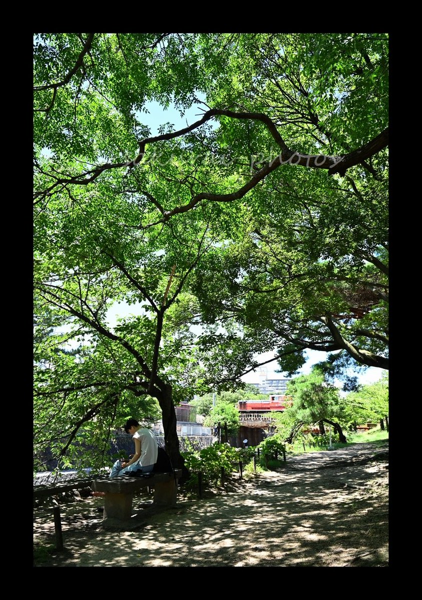 夏の日差しが燦々と照りつける、夙川の昼下がり。

深緑薫る木漏れ日の影で読書をする女性の後ろをDD51が駆け抜ける。