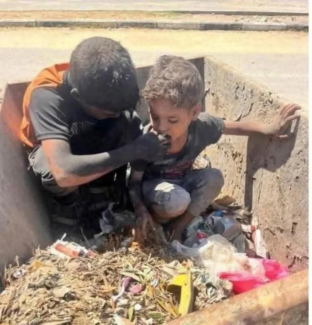 ayar_313's tweet image. یاد بچههای غزه سر سفره، غذا رو کوفتم میکنه! 💔
#غزه_تموت_جوعاً