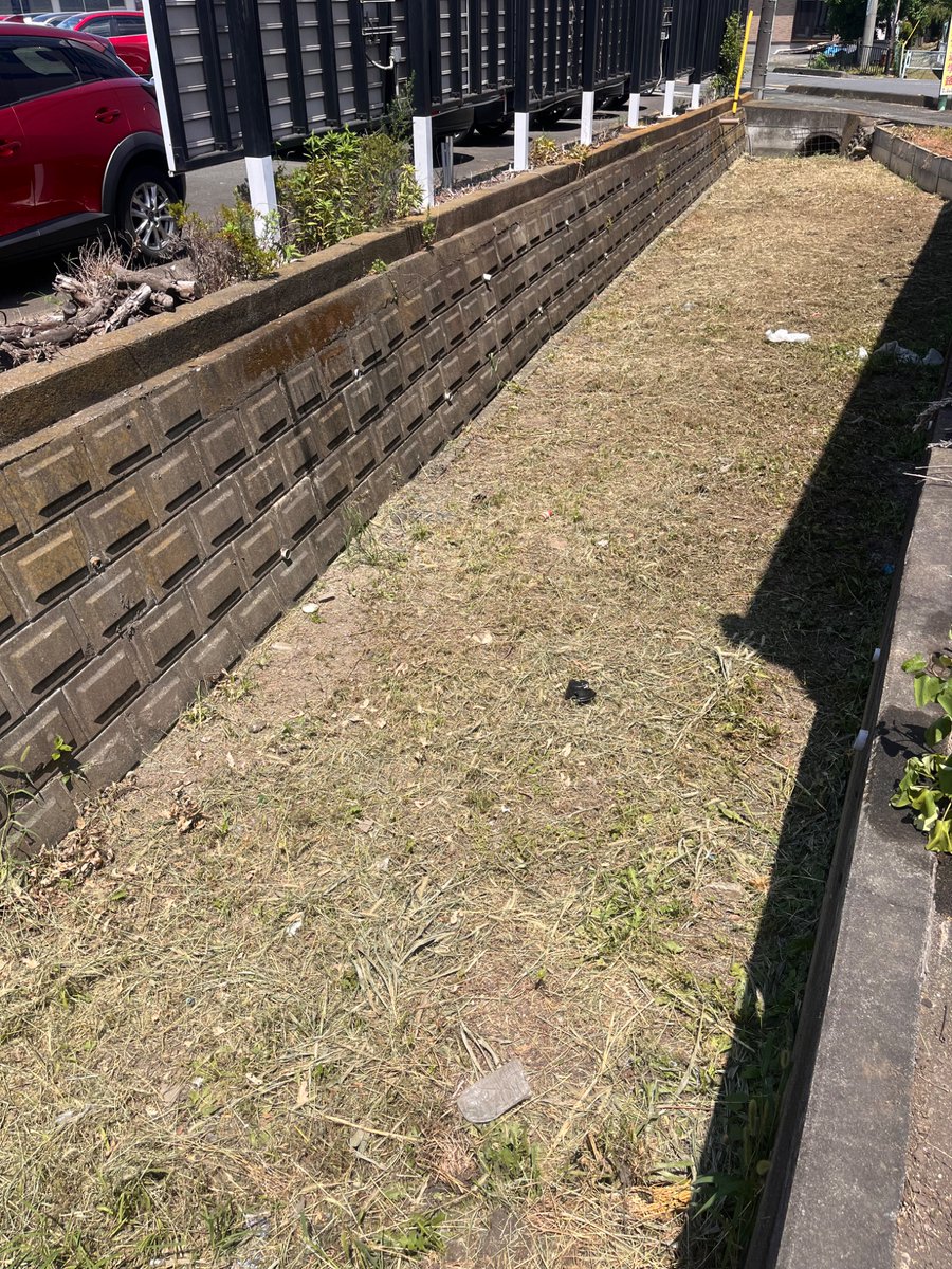 carfactory_toen's tweet image. お店の裏の用水路の雑草が刈られました。行政の担当者様、暑い中お疲れ様でございます🙇🏽
毎年夏の風物詩で、近くの入間川から流れ込んできます。
小魚やザリガニがいっぱい見られますが、中にはレアキャラ・オイカワやナマズもちょろちょろと…?
でも去年は結局水来なかったんですよね…😭