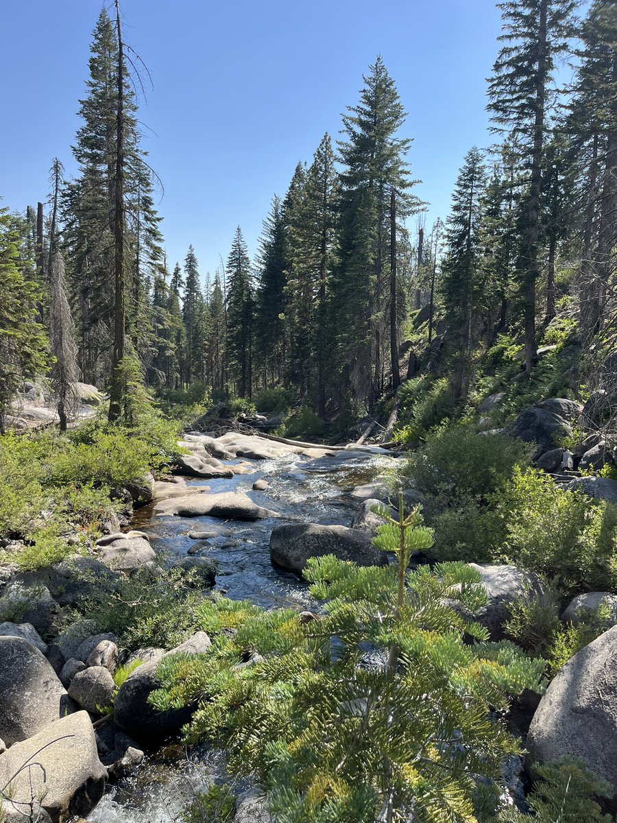 picklebutt21's tweet photo. camping trip :D https://t.co/4lBUIDJxZy