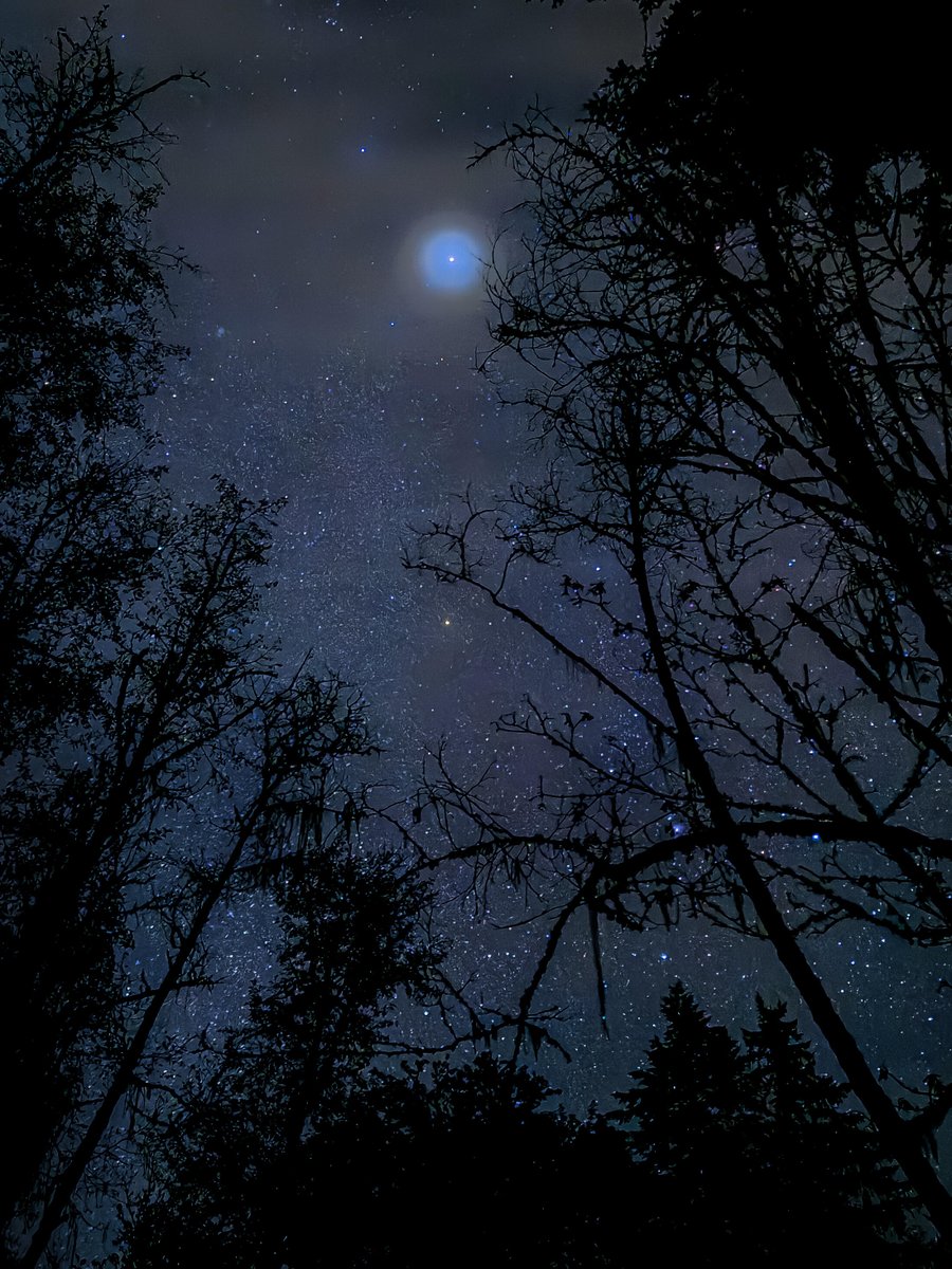 annsol_'s tweet photo. How does it feel to be mesmerized by the night sky's splendor, each star whispers its own story.
#Stargazing https://t.co/2hgSB65Trr
