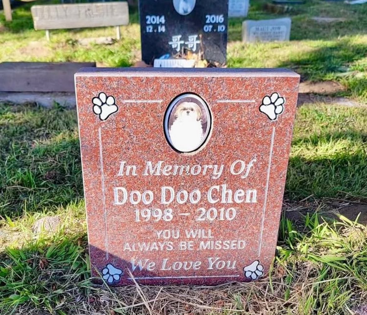 monkeyspiit's tweet image. This picture has been plaguing my mind for the past week, I can't stop randomly thinking about it and laughing. Doo Doo Chen is legitimately haunting me.