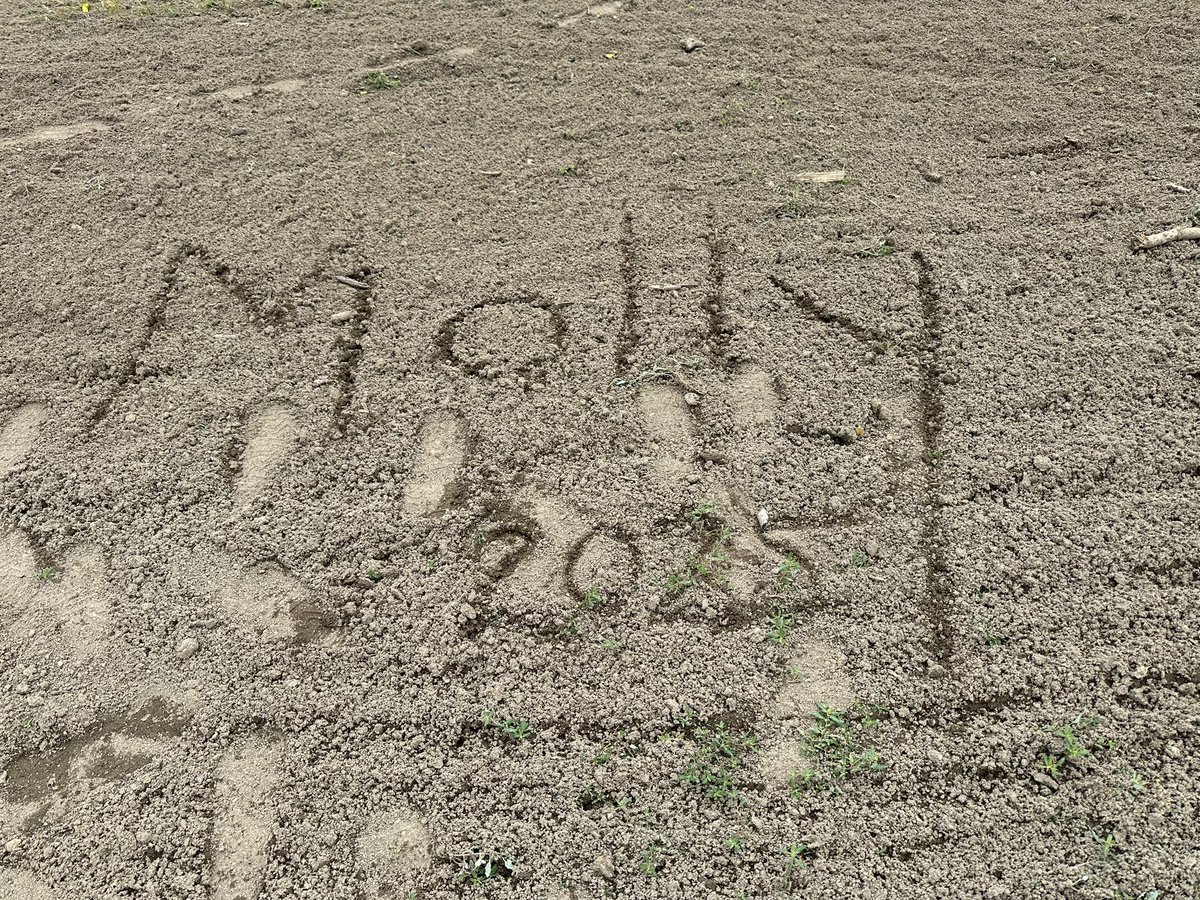 RookieMurphyMom's tweet photo. @KayeSteinsapir My niece and I were at the beach at Dillon Lake today and we thought it only fitting to have Molly join us. https://t.co/SNjCSZhv57