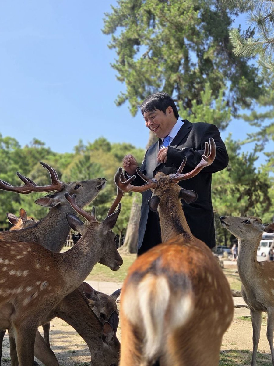 奈良の鹿さんは本当に神の使いでした。
この子達をお守りし人生が変わりました。