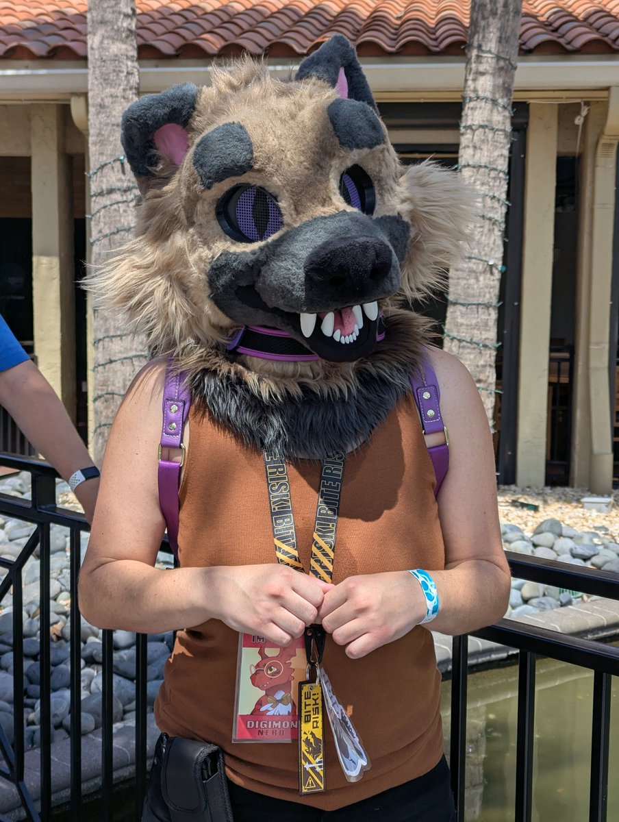 PhantasmScrawl's tweet photo. #CHOMPFL Solo suiters 2 https://t.co/c5n5NEspYh