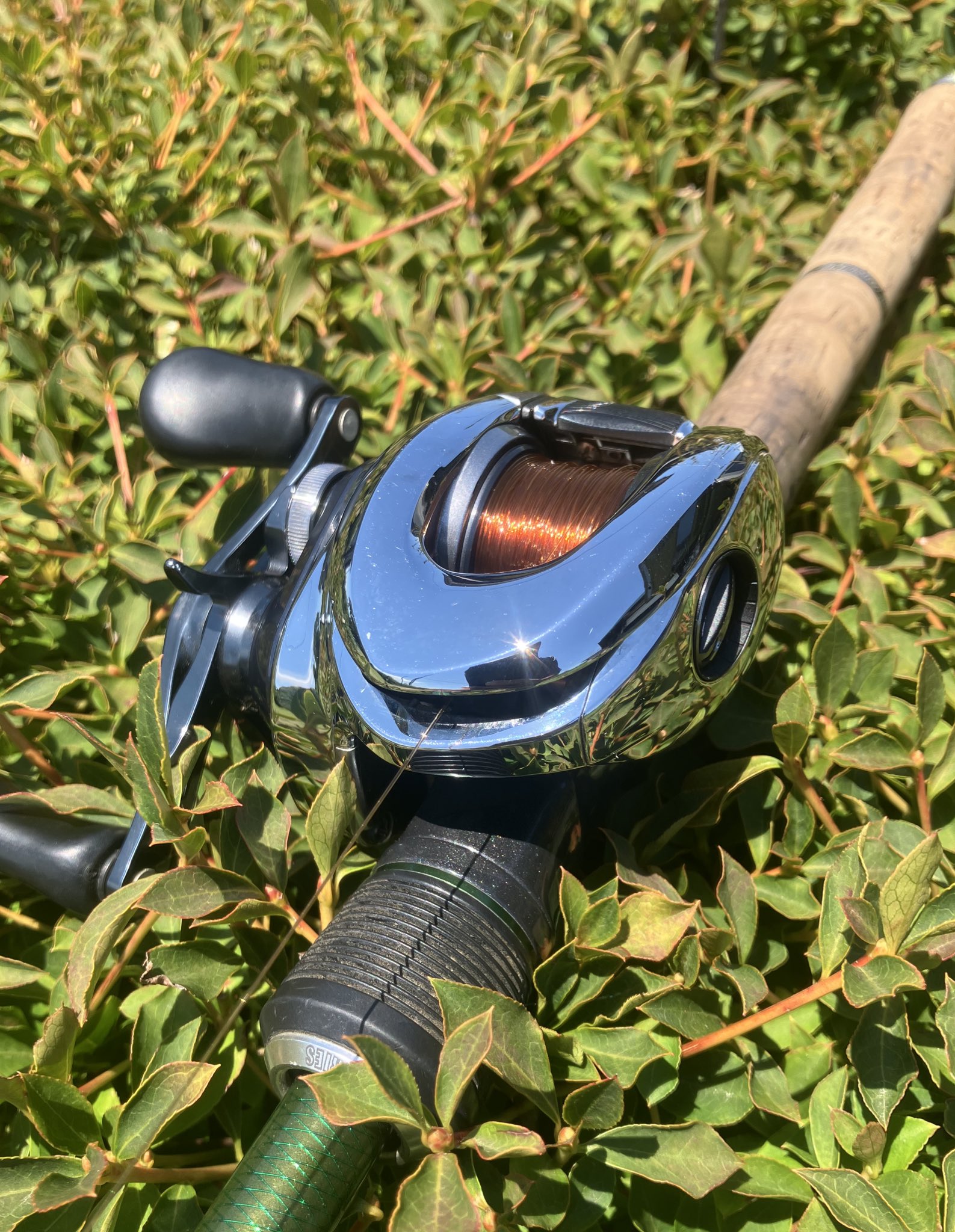 アンタレス19 19アンタレスを本音でインプレするよ。ぶっちゃけ・・・ | toraのブログ