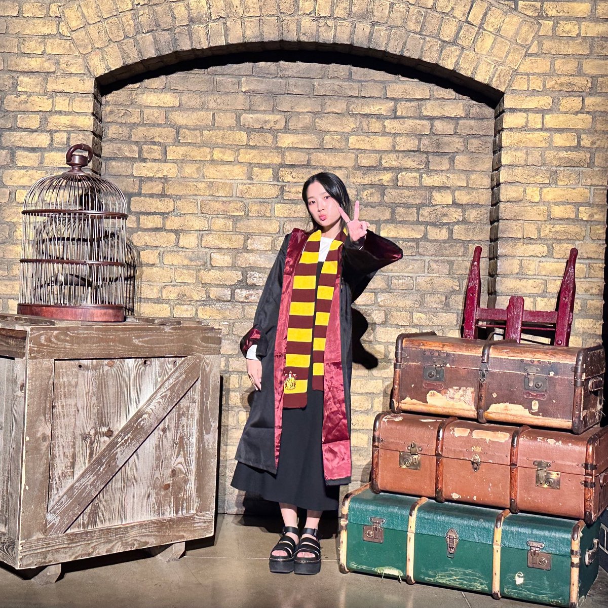 hyeyoonfeeds's tweet image. certified potterhead 🪄✨