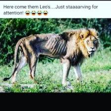 777 (@_garrettcharles) on Twitter photo 