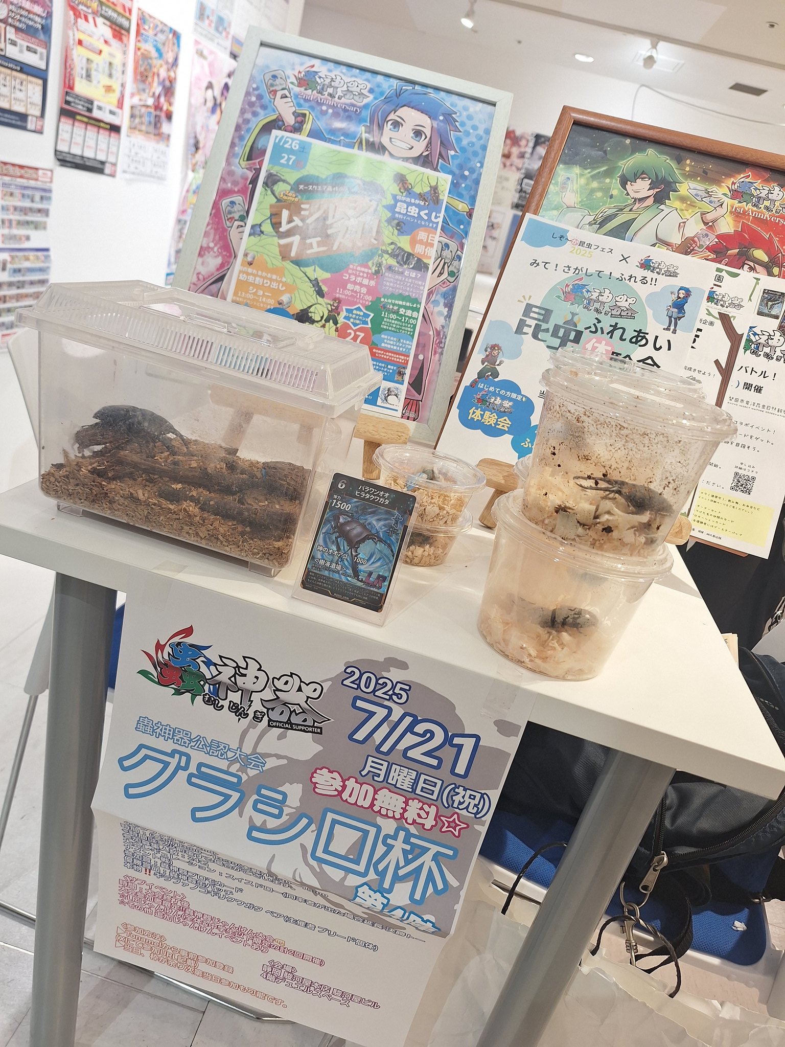 グラシロ杯/サメ🦈蟲神器公認サポーター on X: 