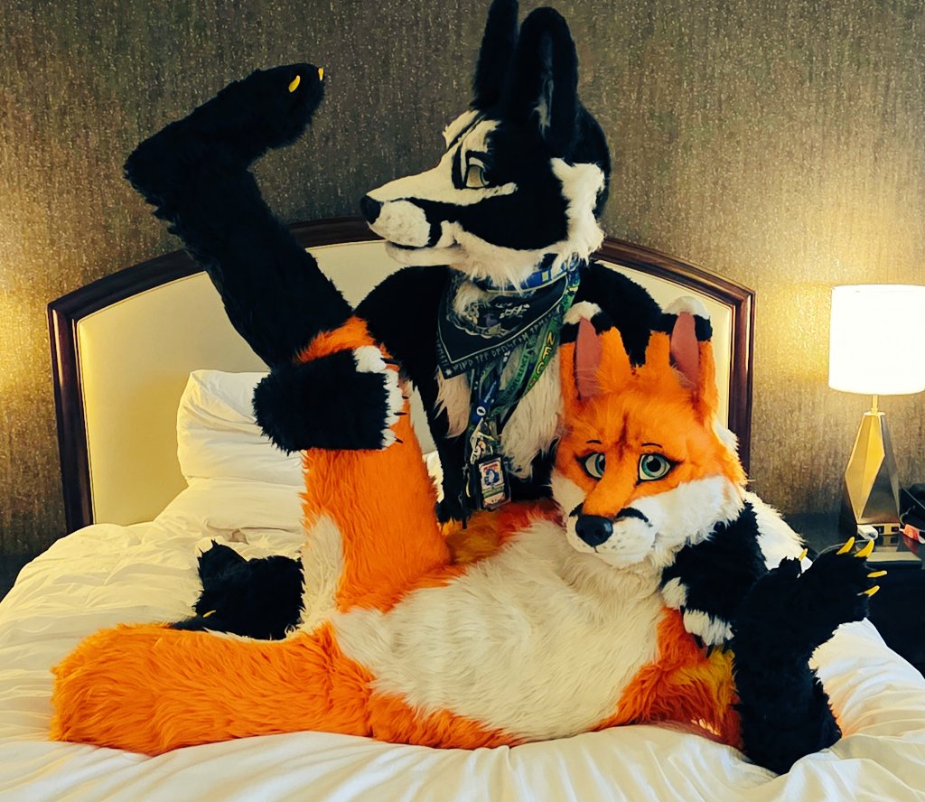 Henlo from new phone :) They were offering free foxes too! #TwoFoxes #OnePhone #NoSponsorsCuzWeNuts