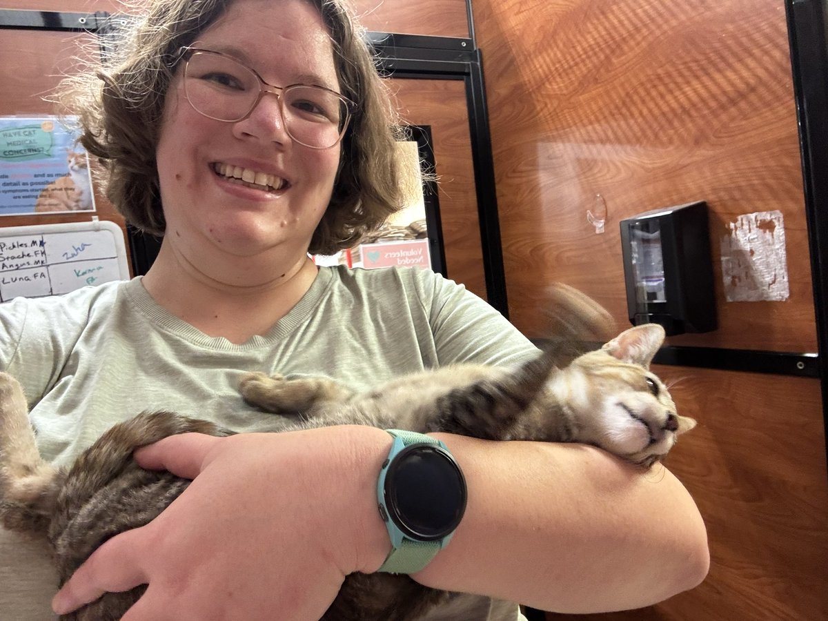 <a href="/stsweeney3/">Sweeney</a> Sweeney can I interest you in a bunch of babies