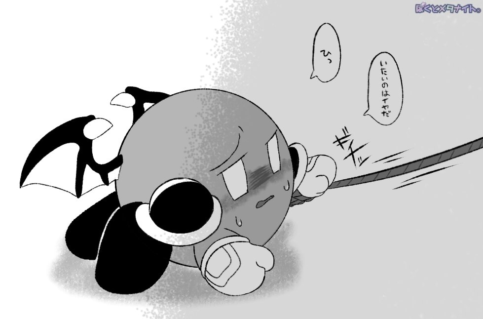 ぼくとメタナイト/ふたりの記憶
？日目