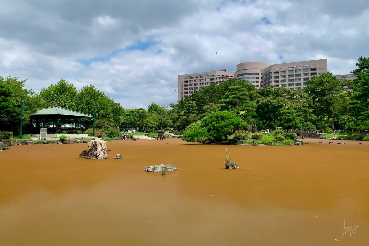 鶴舞公園の池がスゴイ色になってた。

暑さでミドリムシの仲間が変色するとこんな色になってしまうんだと。ほぉー😳

#名古屋2025