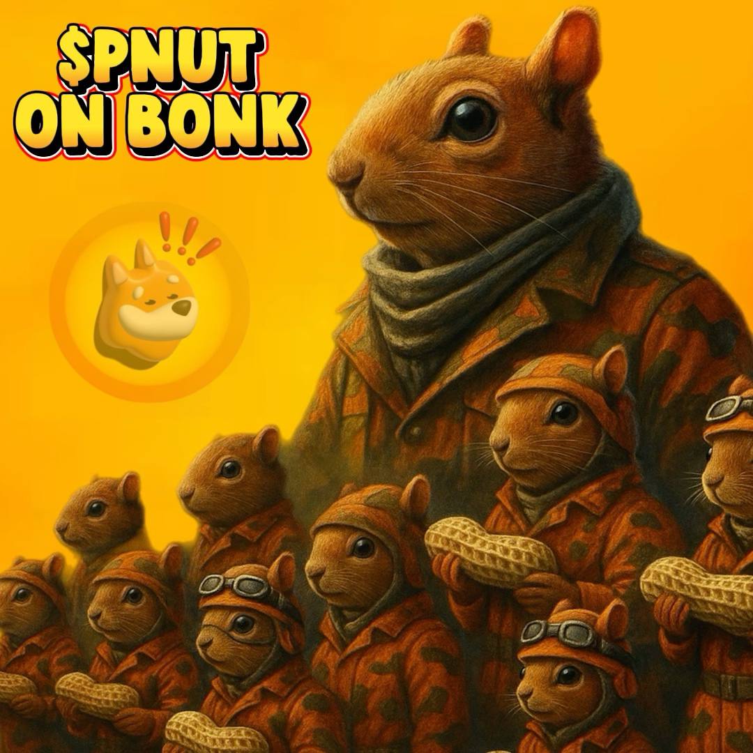 PnutSquirrelCTO's tweet photo. $Pnut on bonk will take over. We have the owner of the actual squirrel with us!

🔗 Join the channel: https://t.co/AdAlRzeGdy
📜CA: 2kkwPP6Y5v4aSteLo2R6uqmx3aQ6Veb1xDcRXHsNbonk https://t.co/mW2r2SCKsU