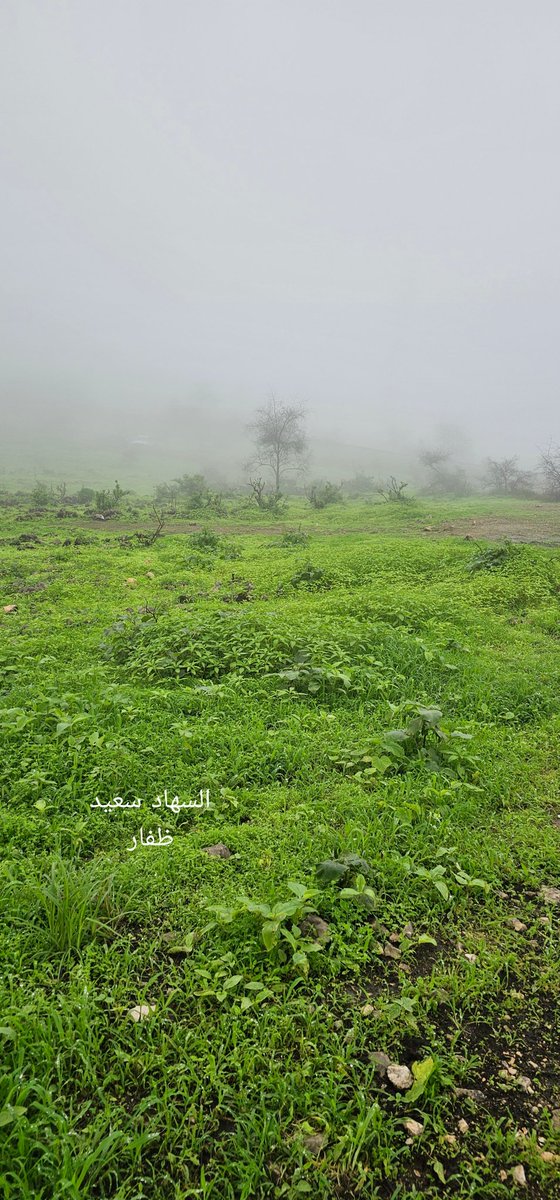 #الصباح ليس مجرد وقت في جدول اليوم ، بل هو إعلان إلهي بأن الحياة تستحق أن تُعاش مرة أخرى، بفرصة أنقى، وروح أنضج، وعقل أكثر هدوءًا ، نحن نعشق #الصباح لأن فيه بركة تُكتب في اللحظات الأولى، وتمنحنا طاقة لا تُشترى .
#صباح_الخير 
#رسالة_اليوم_لك
#صباحيات 
#صباح_الأشياء_المُشرقة