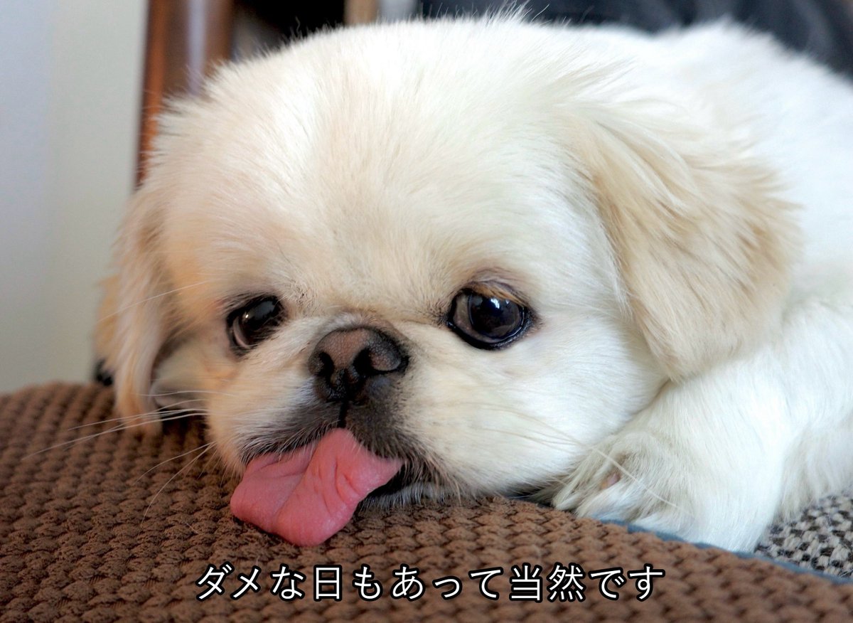 𝐿𝑂𝑉𝐸𝑌𝑂𝑈 (@the_mucho_world) on Twitter photo 