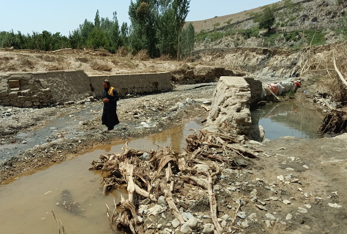 FAOAfghanistan's tweet image. The recent flash floods have severely impacted multiple provinces. In Wardak alone, over 50 canals & 885 hectares of farmland have been damaged, affecting more than 18 200 people.
@FAO continues to assess these impacts and is planning urgent recovery support with partners.