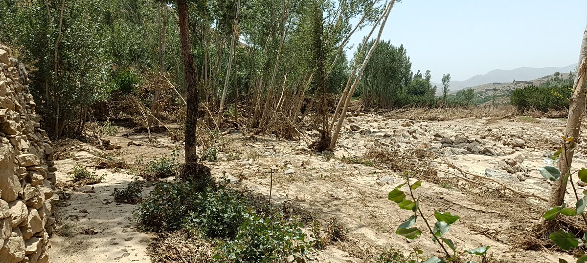 FAOAfghanistan's tweet image. The recent flash floods have severely impacted multiple provinces. In Wardak alone, over 50 canals & 885 hectares of farmland have been damaged, affecting more than 18 200 people.
@FAO continues to assess these impacts and is planning urgent recovery support with partners.