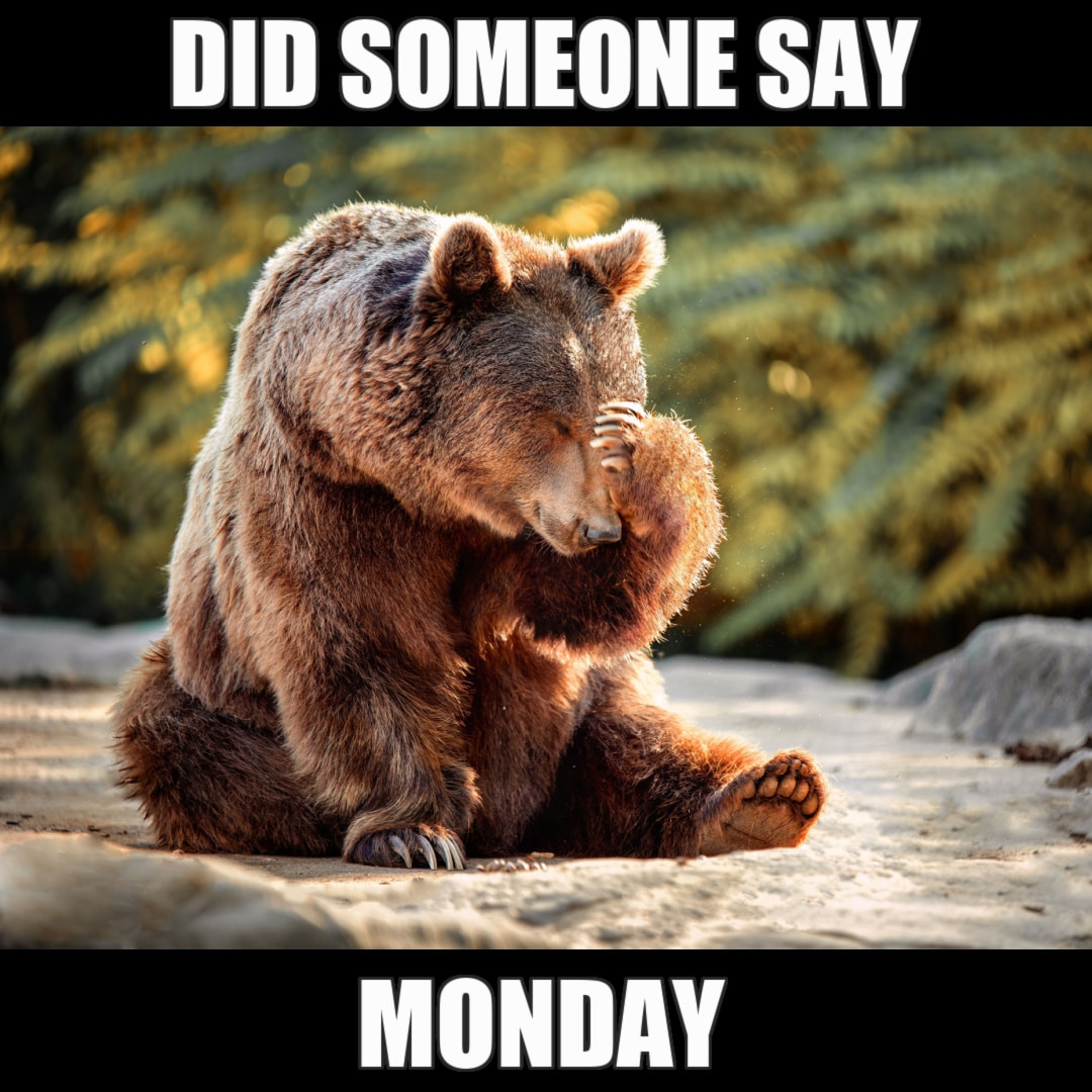blit_xpress's tweet image. Here we go again. Wishing you All a fruitful Monday and Week ahead.