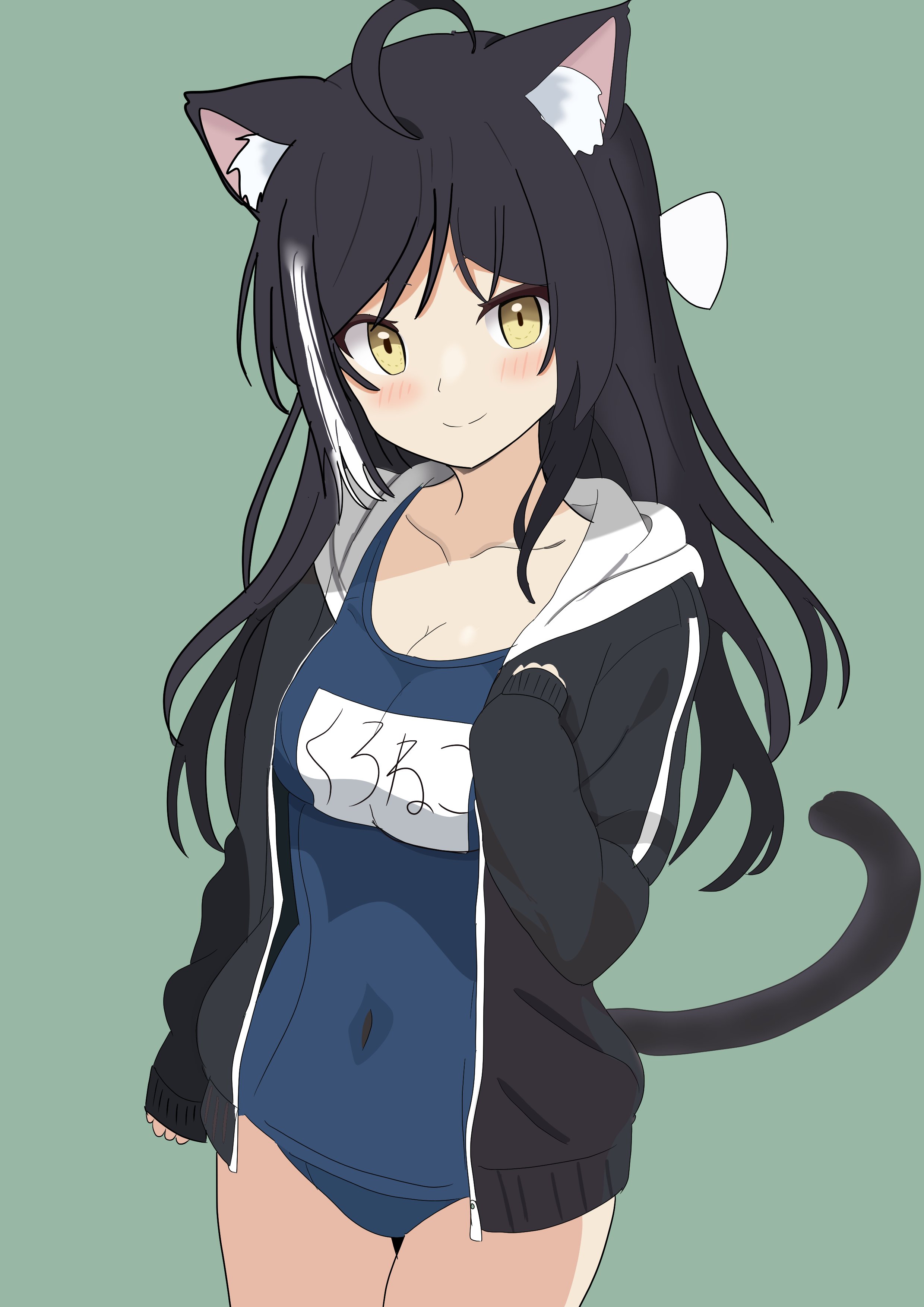 猫武将<(*ΦωΦ*)> 出陣 白猫さん［黒兜、鎧、刀］ 白猫】吟花乙女