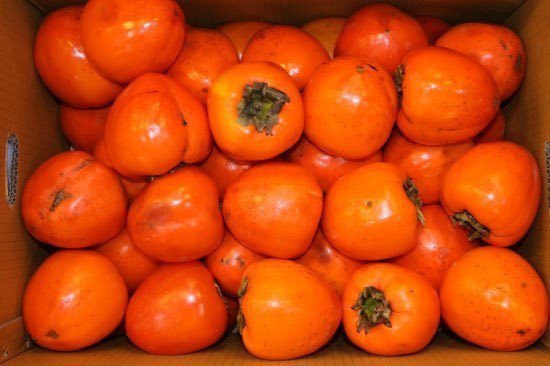 누가 ㅅㅌㅅ 주소 좀 알려주세요
감 좀 챙기라고 감 한 박스 보내게