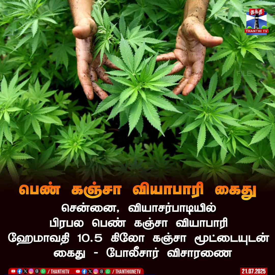 ThanthiTV's tweet image. பெண் கஞ்சா வியாபாரி கைது

சென்னை, வியாசர்பாடியில் பிரபல பெண் கஞ்சா வியாபாரி ஹேமாவதி 10.5 கிலோ கஞ்சா மூட்டையுடன் கைது - போலீசார் விசாரணை

#drugdealer #chennaidrugdeal #policeaction