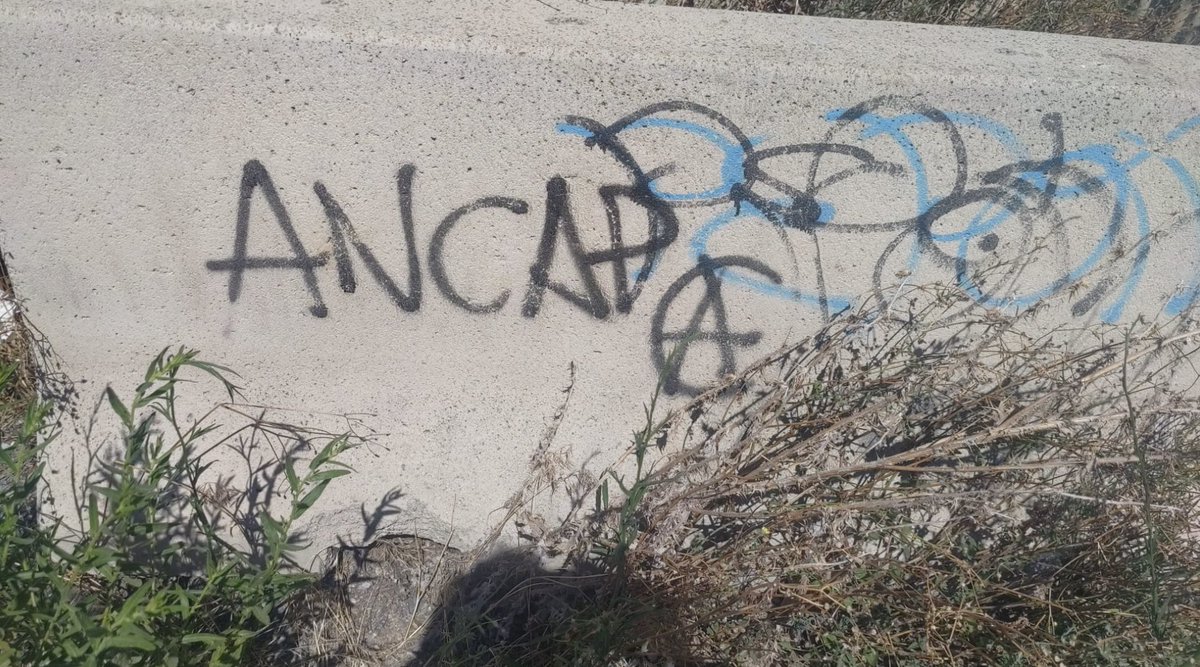MadeInAncapia's tweet image. Visto en Zaragoza, España.
¿Por qué no paran de aparecer?